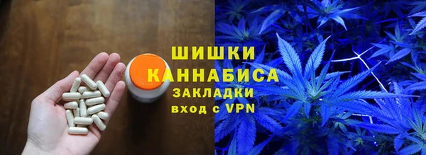 бошки Алексин