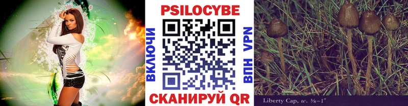 как найти закладки  OMG зеркало  Галлюциногенные грибы прущие грибы  Зуевка 